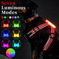 Nylon dog lead with illuminated colour-changing strap and USB charging cable