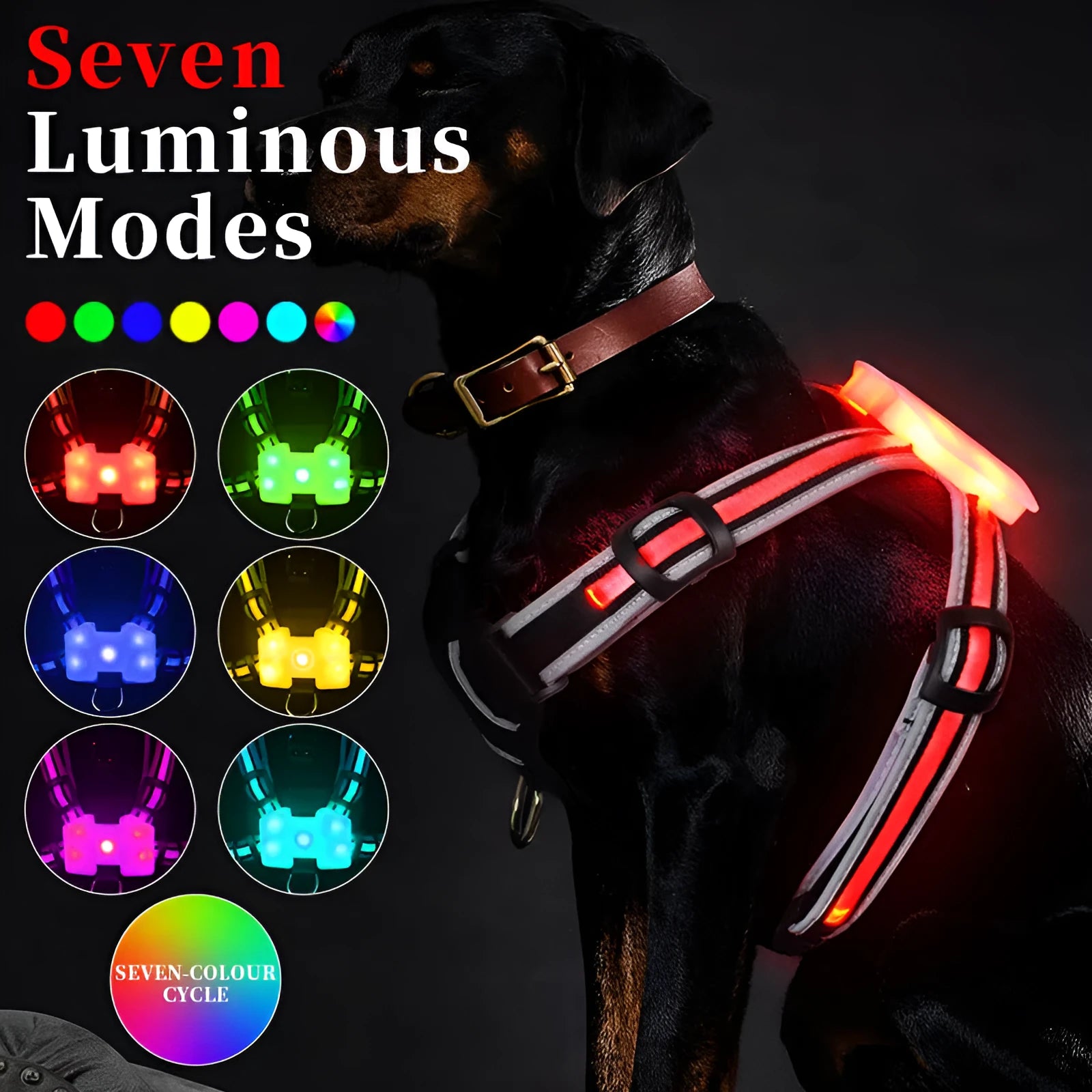 Nylon dog lead with illuminated colour-changing strap and USB charging cable