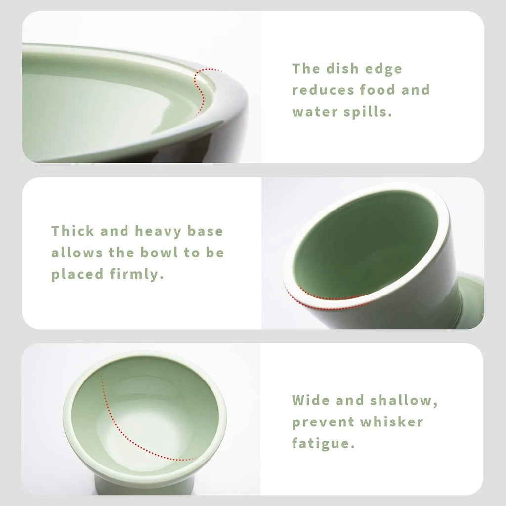Elevated ceramic cat bowl with wide shallow design in blue green pink or white