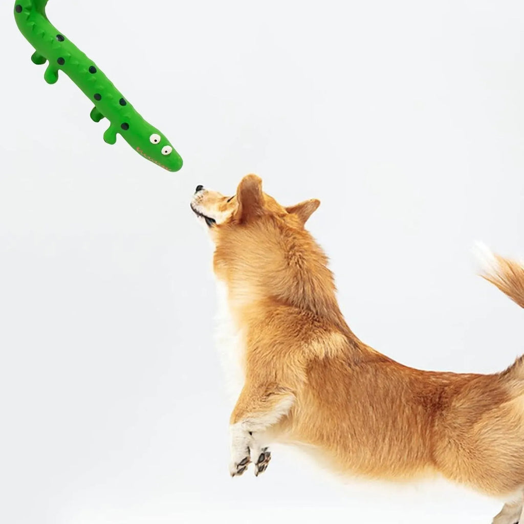 Green cartoon lizard shaped dog chew toy with squeaker on a white background.