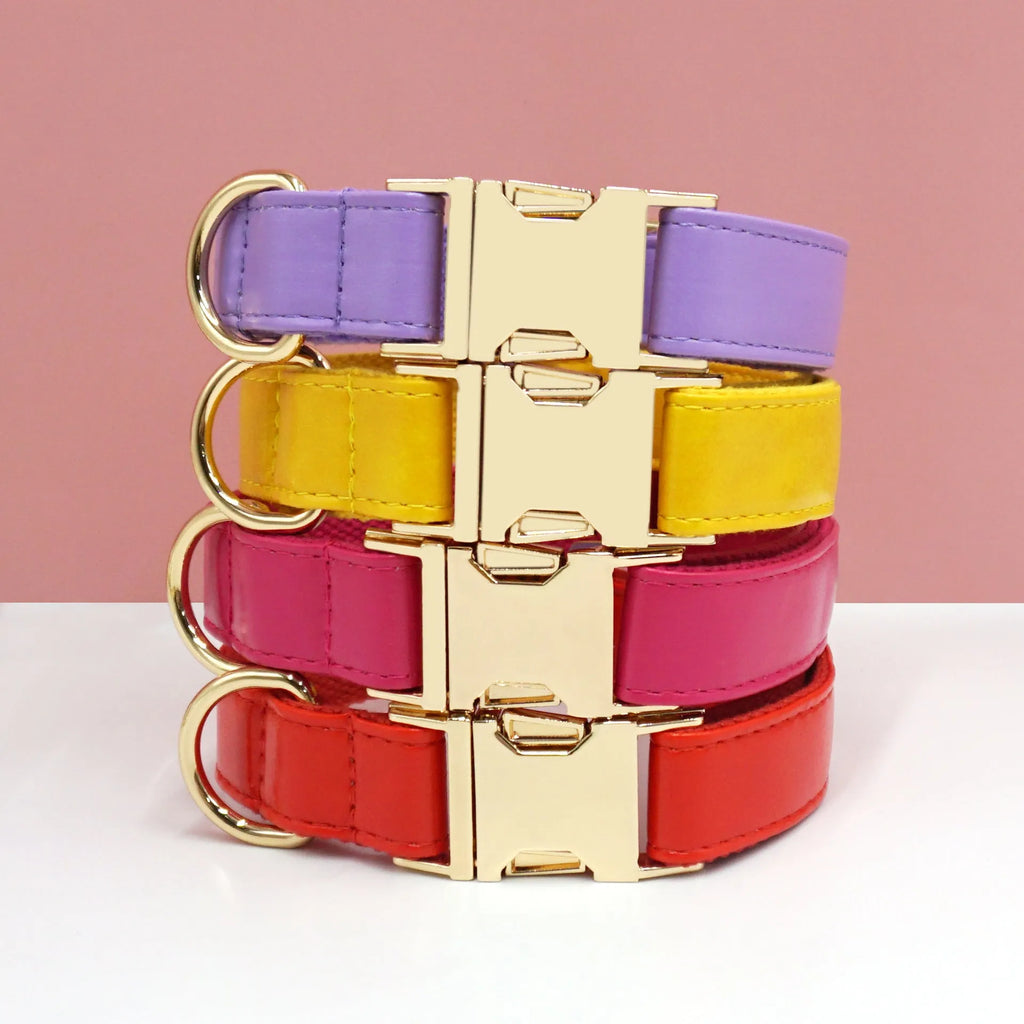 Simple colour block leather dog collar shown in caramel colour on a white background.