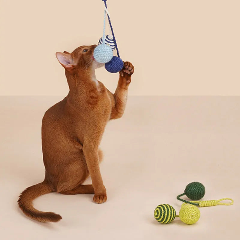 Cat toy set with blue bite-resistant teaser stick and catnip ball on white background