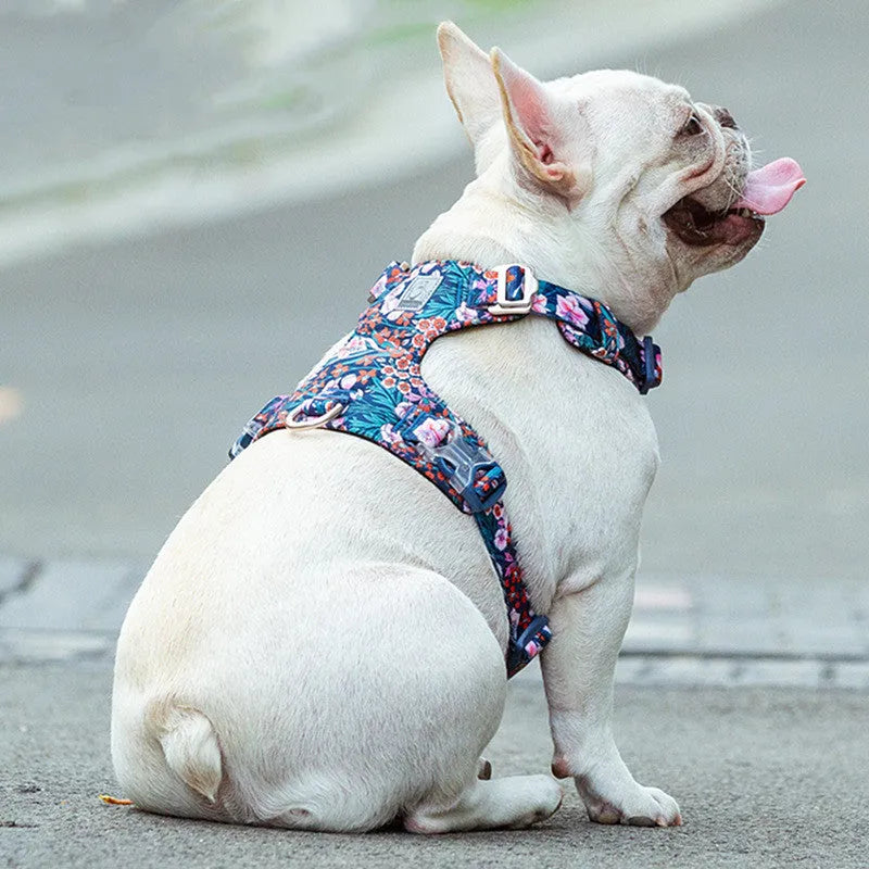 Floral print dog chest harness in pure cotton with pull-resistant strap.