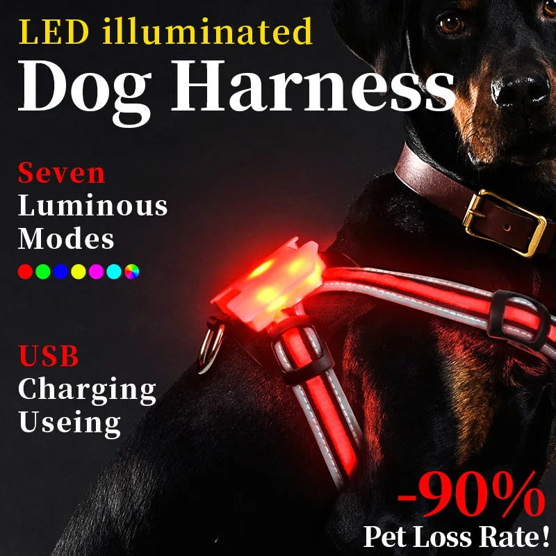 Nylon dog lead with illuminated colour-changing strap and USB charging cable