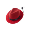 Wool felt mini pet sun hat in black, brown, pink, or red with 155cm diameter
