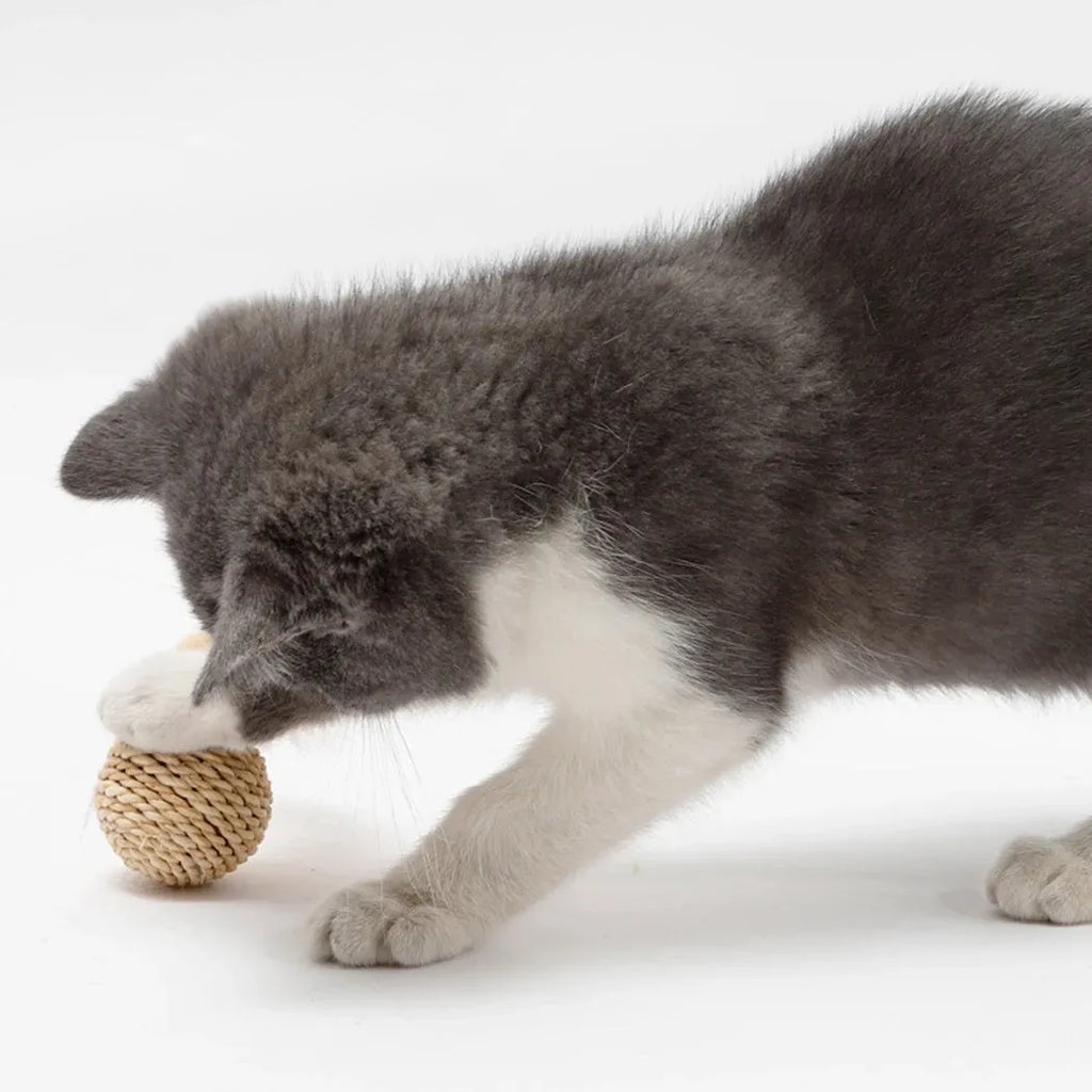 Set of two cat toys: a hollow rattan ball and a faux feather ball with bell, on a plain background.