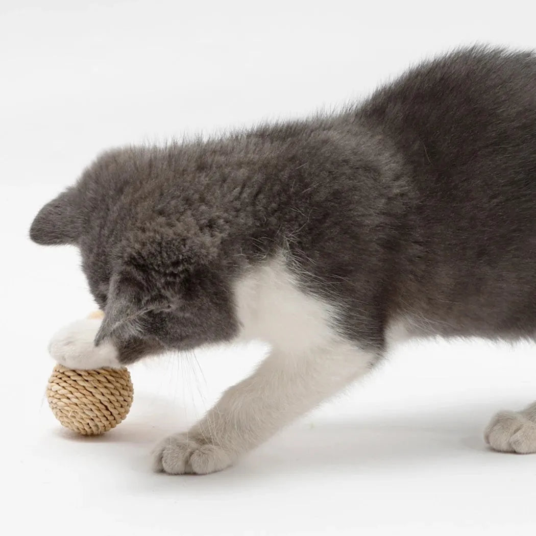 Set of two cat toys: a hollow rattan ball and a faux feather ball with bell, on a plain background.