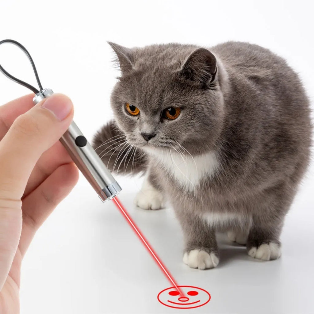 Silver stainless steel laser pen cat toy with four light spot patterns