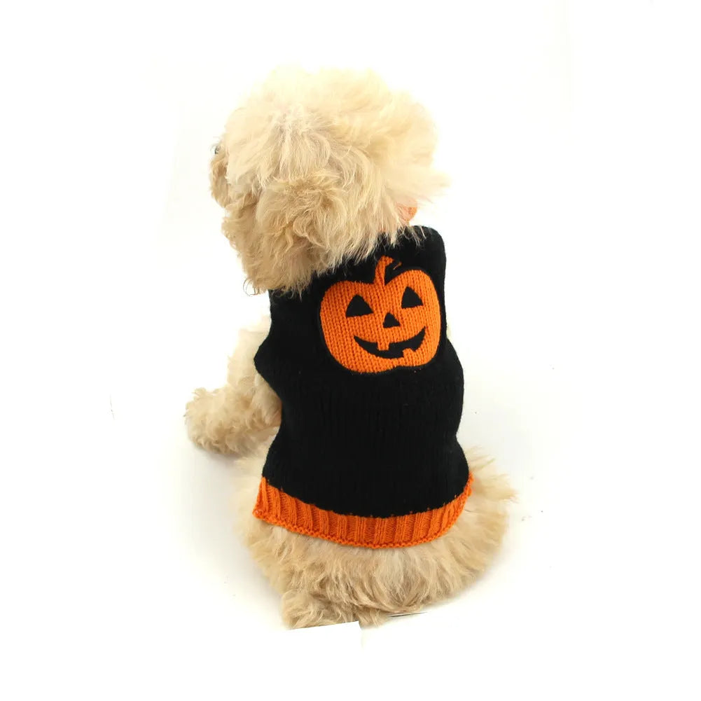 Pet Halloween dog knitted pumpkin sweater in orange with black pumpkin detail on a white background