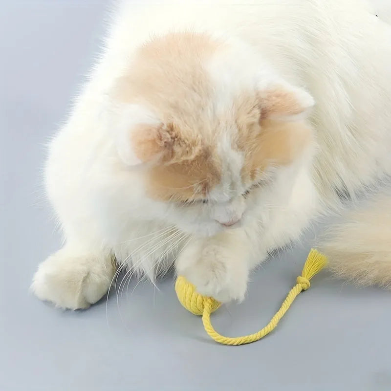 Green cat toy ball with attached rope and internal bell next to a pink one.