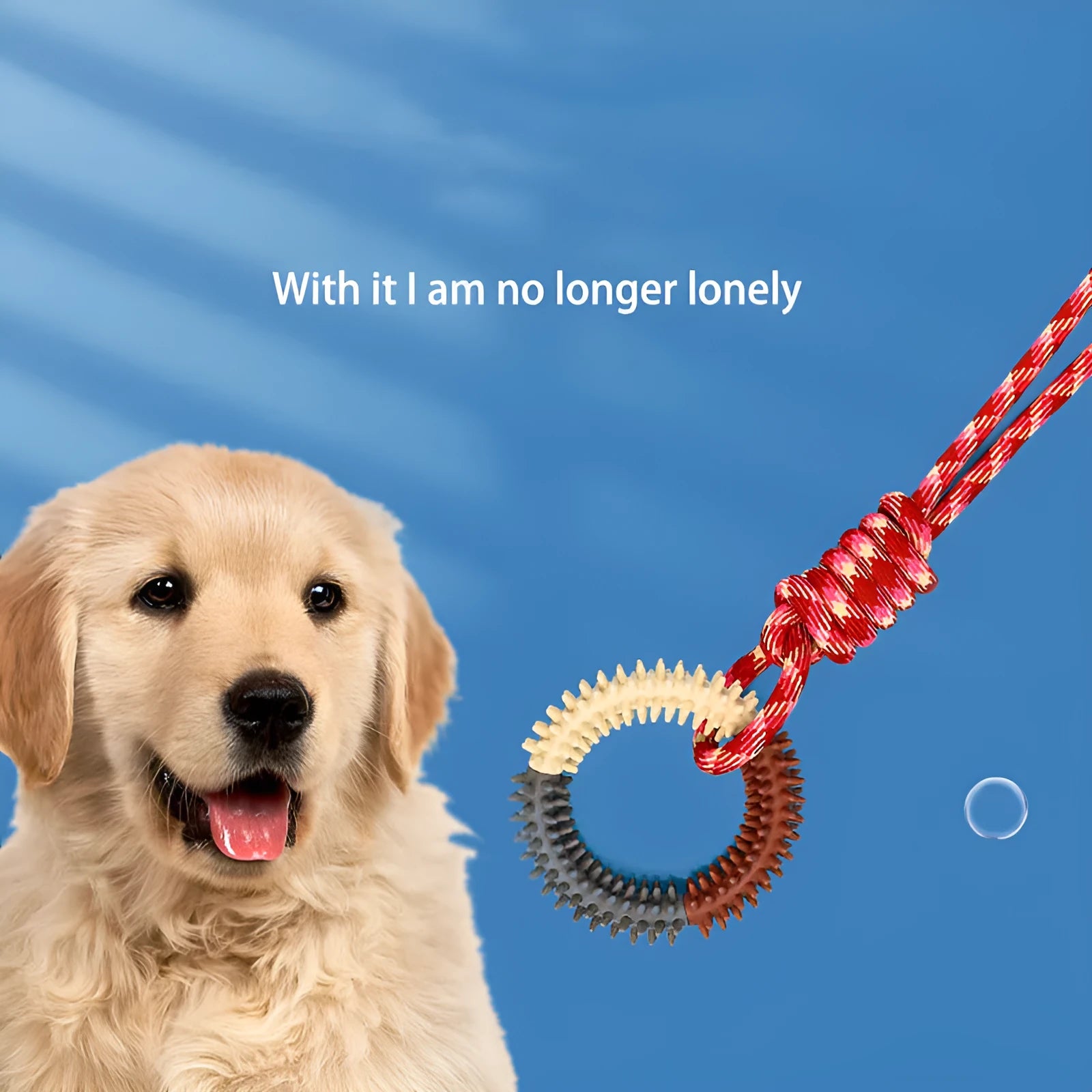 Blue braided rope dog toy with knots for tugging and chewing by a medium-sized dog