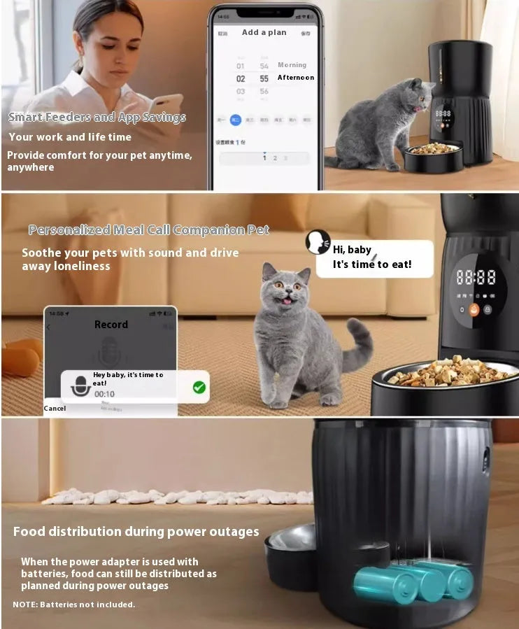 Automatic pet feeder with timer display and food storage compartment in black colour
