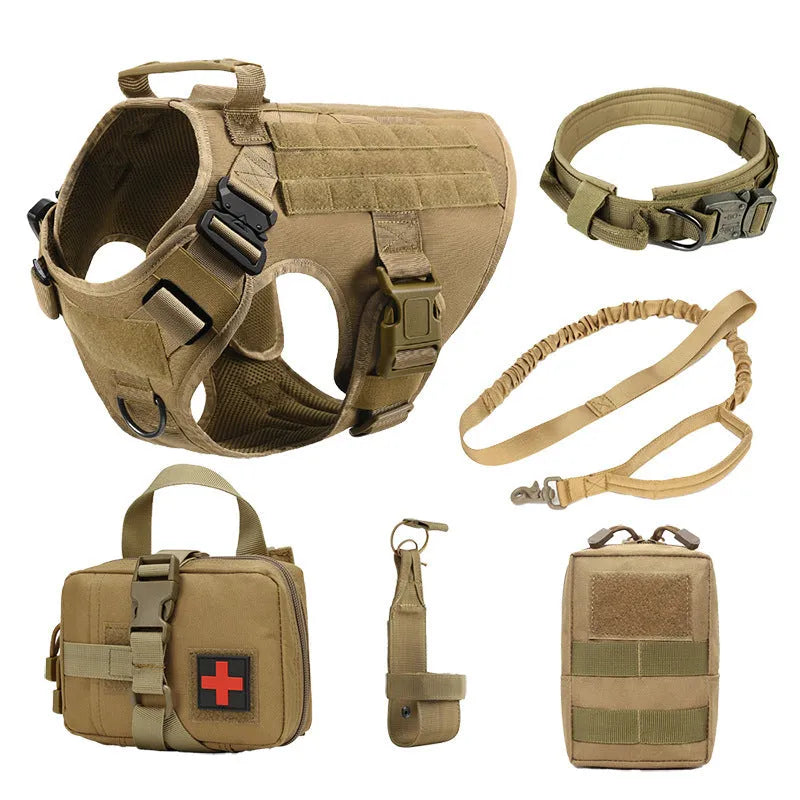 Dog wearing tactical training vest battle suit in camouflage pattern