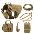 Dog wearing tactical training vest battle suit in camouflage pattern