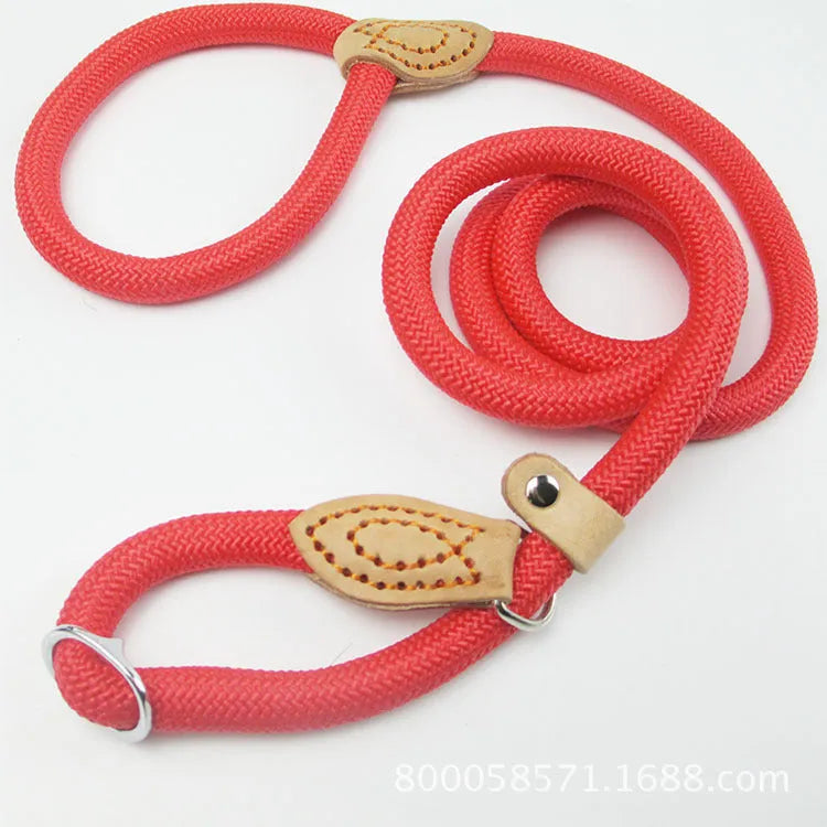 Brown nylon dog leash with 2.1 metre length and P chain attachment for collar connection
