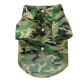 Fruit-themed casual polyester dog clothes in six colours on a small dog, size S to XL available