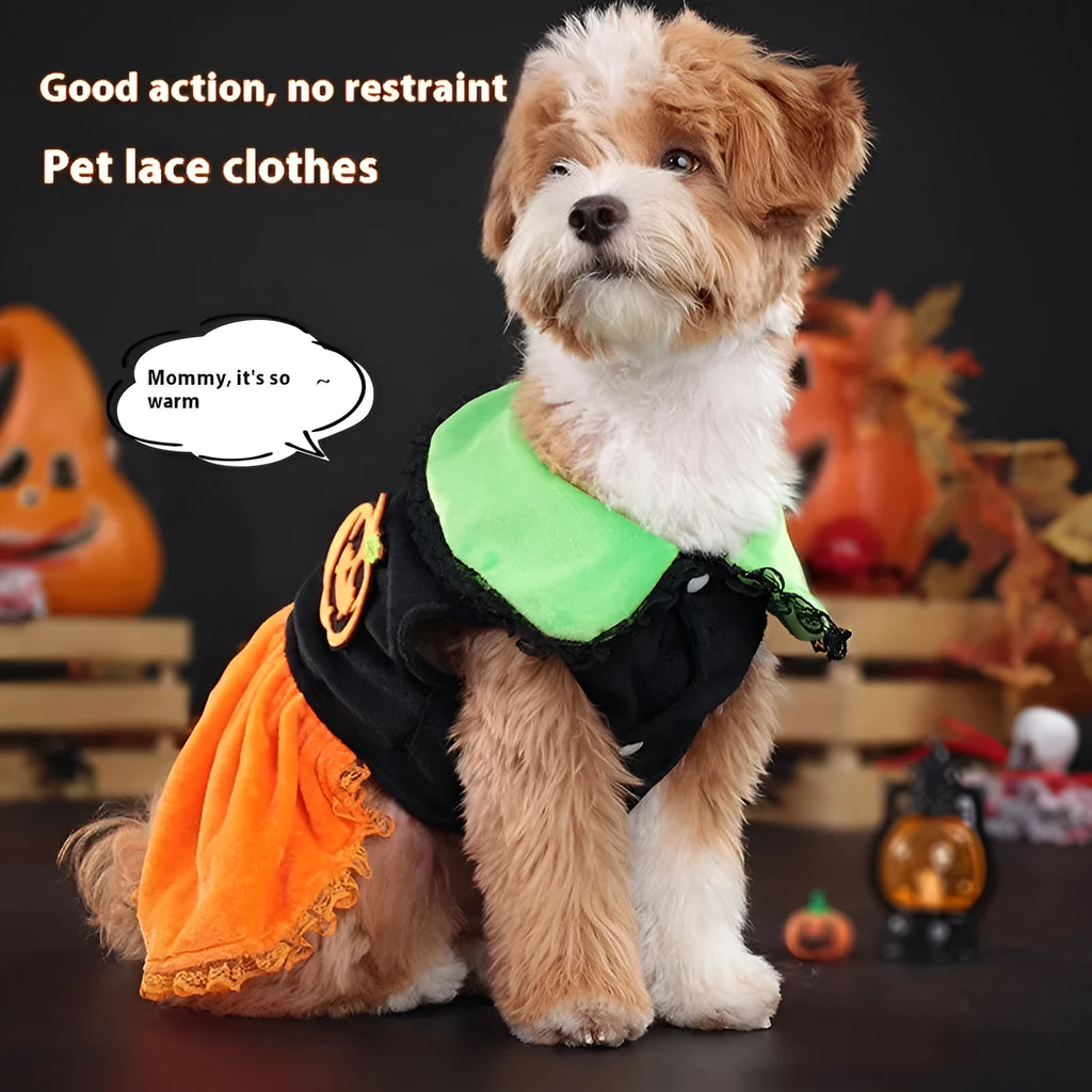 Halloween pet costume for dog or cat, shown as a pumpkin skirt and a sweater in crystal velvet fabric.