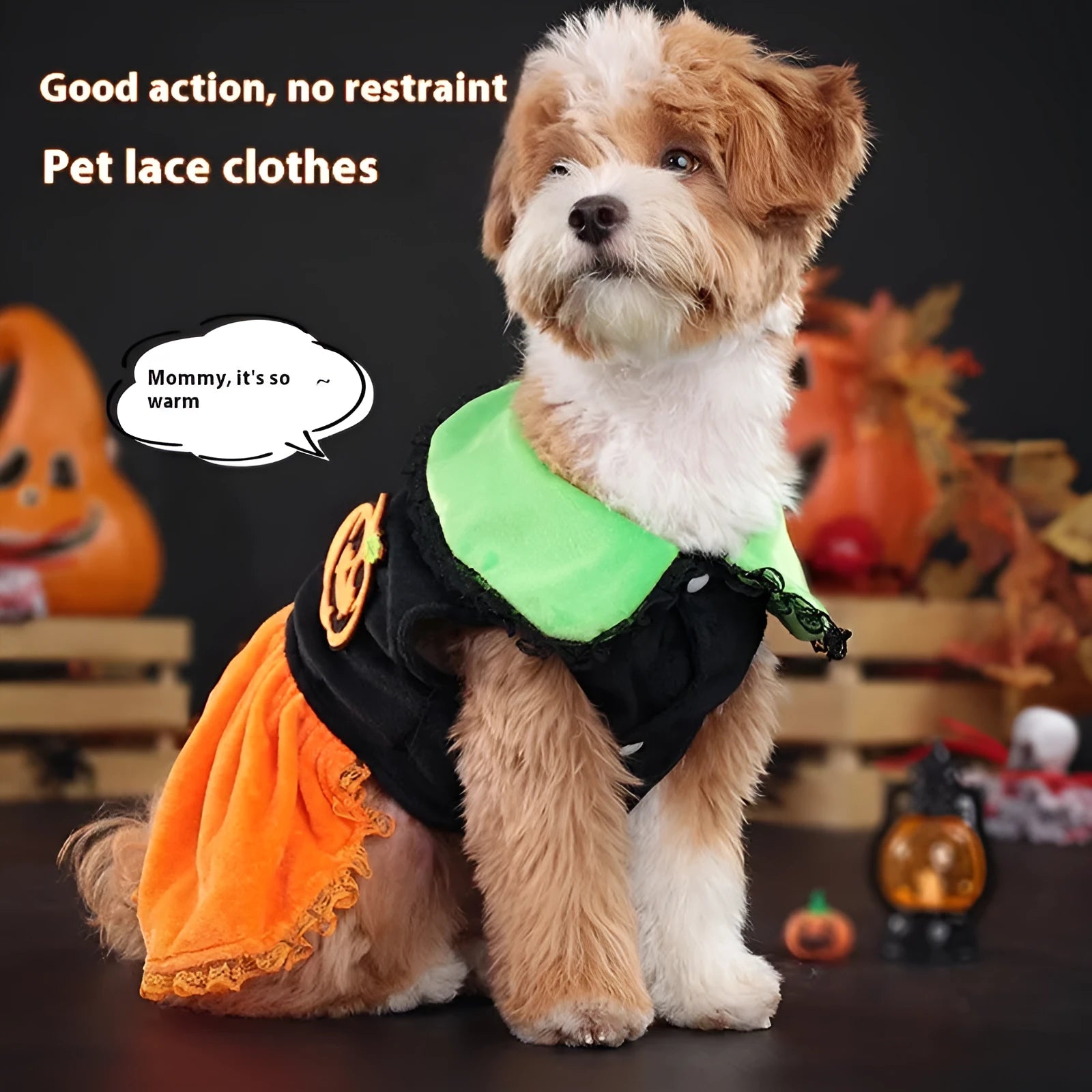 Halloween pet costume for dog or cat, shown as a pumpkin skirt and a sweater in crystal velvet fabric.