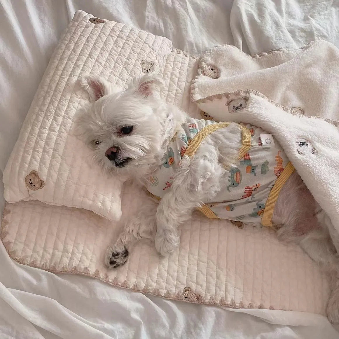Fashion square mat removable washable dog bed set with pillow mattress quilt, simple bear design, size S and M options