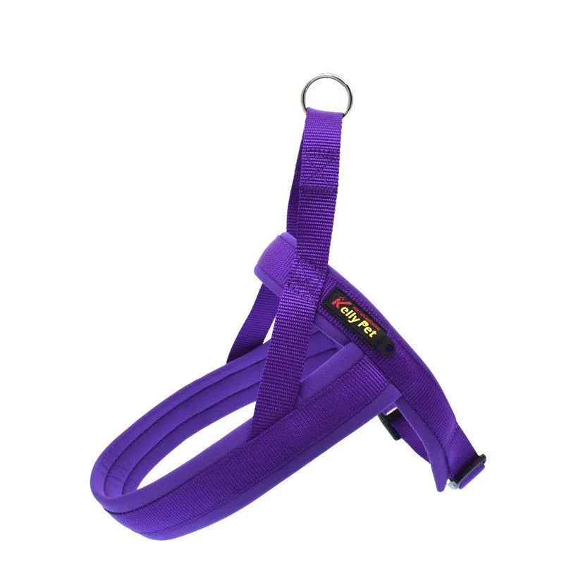 Nylon dog chest harness in blue with leash, chest strap design for walking