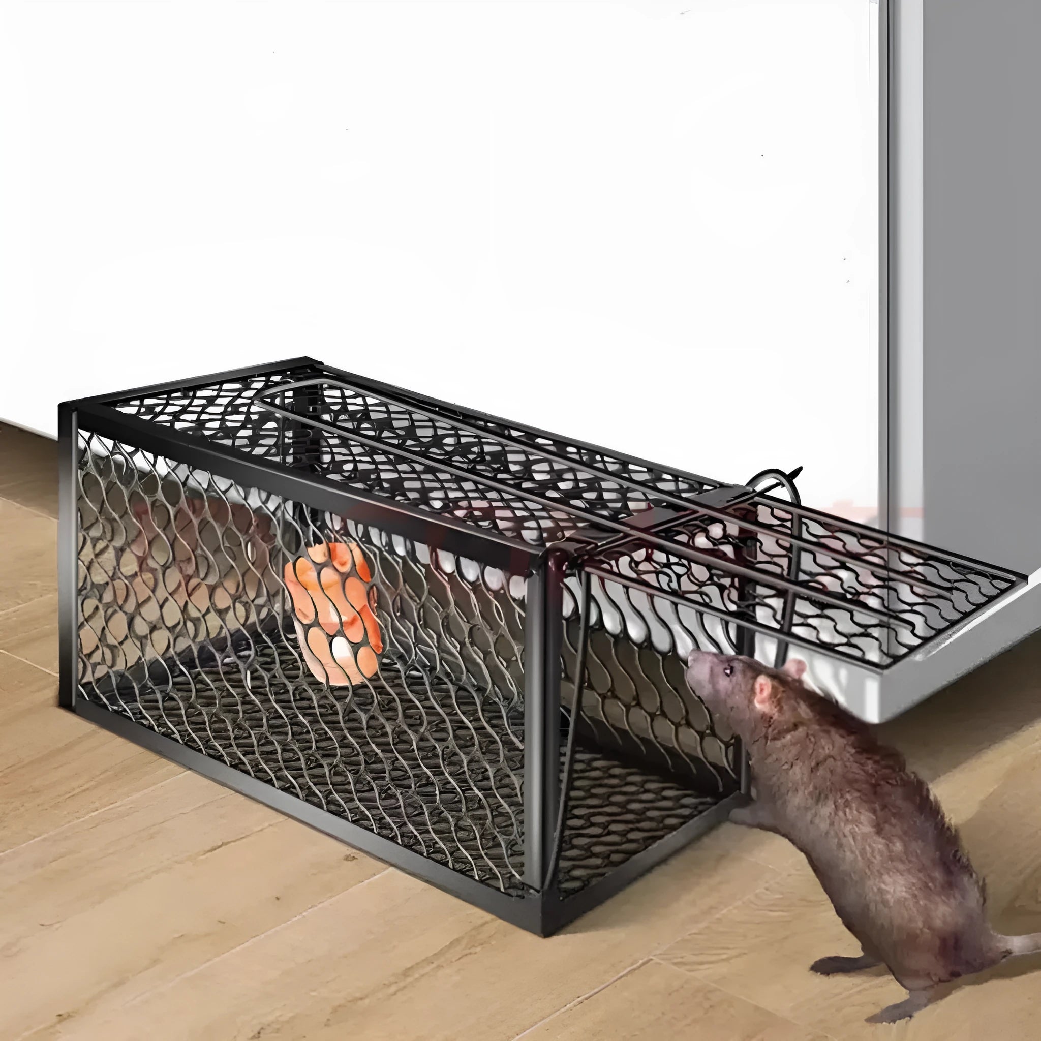 Automatic mouse cage trap with metal and plastic construction showing cage mechanism