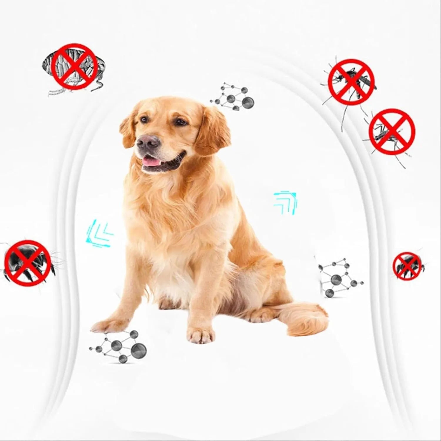Double-sided plastic flea comb for dogs and cats on a white background.