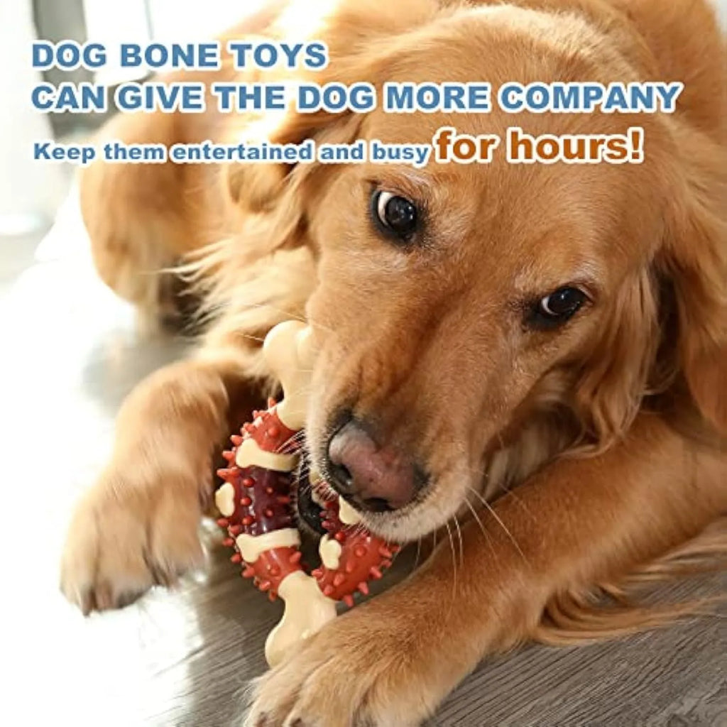 Bone-shaped natural rubber dog molar chew toy in two sizes for teeth grinding.