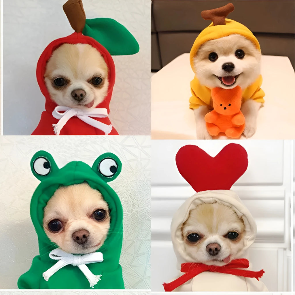 Fruit dog clothes two-legged hooded green fleece outfit for small dogs autumn winter pet sweater