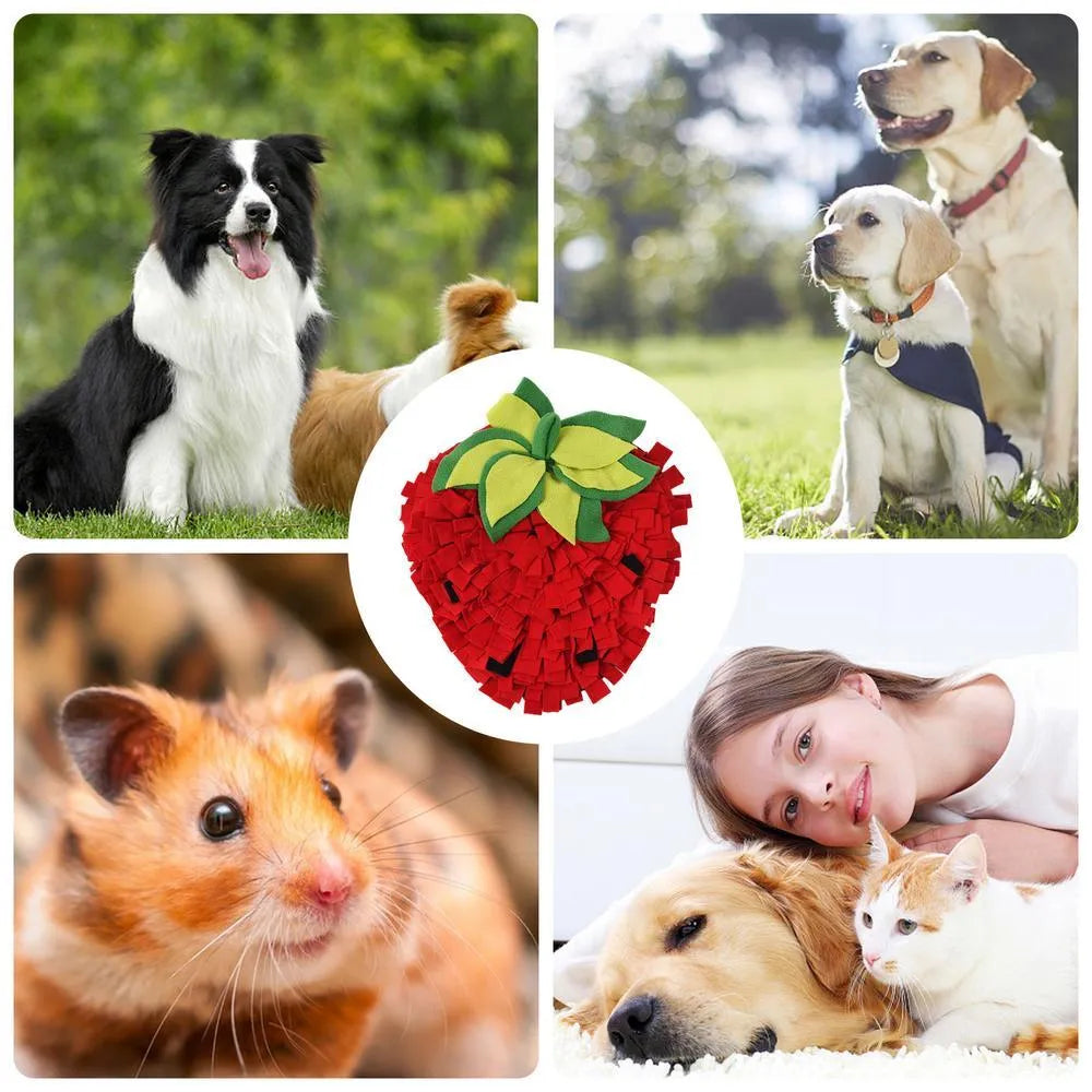 Red and green strawberry-shaped pet foraging mat for dogs and cats with multiple hiding spots