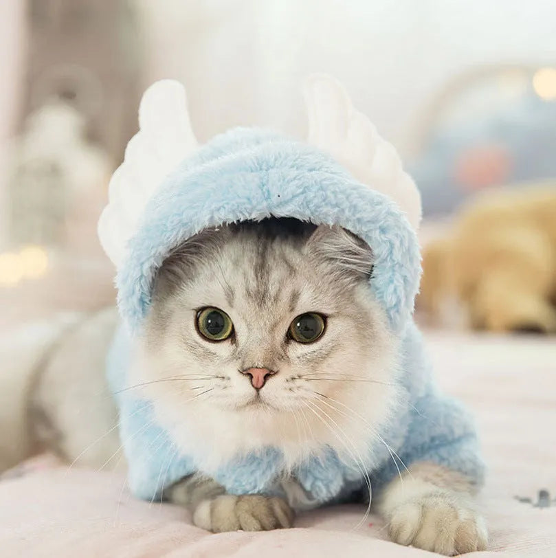 Cute pink rabbit design cat clothes made from soft cotton on a cat