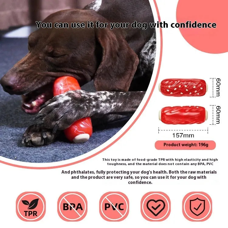 Primary colour plastic molar rod dog toy with glue toothbrush-shaped centre for dental chewing