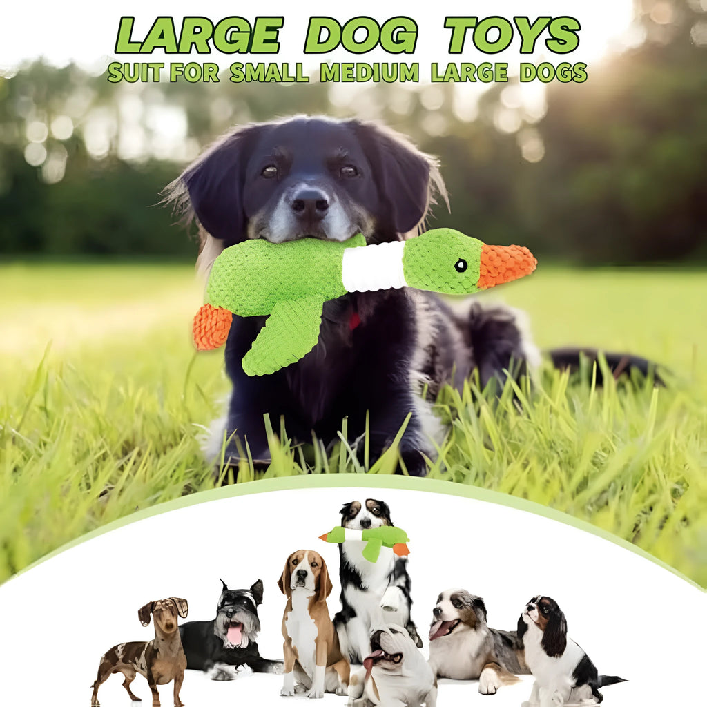 Blue, green or grey duck-shaped plush dog toy with two squeakers.
