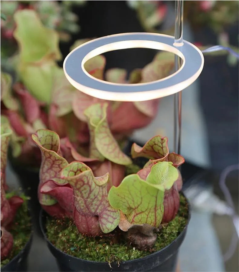USB LED plant grow light with transparent PC and aluminium housing on a 25cm acrylic stick.