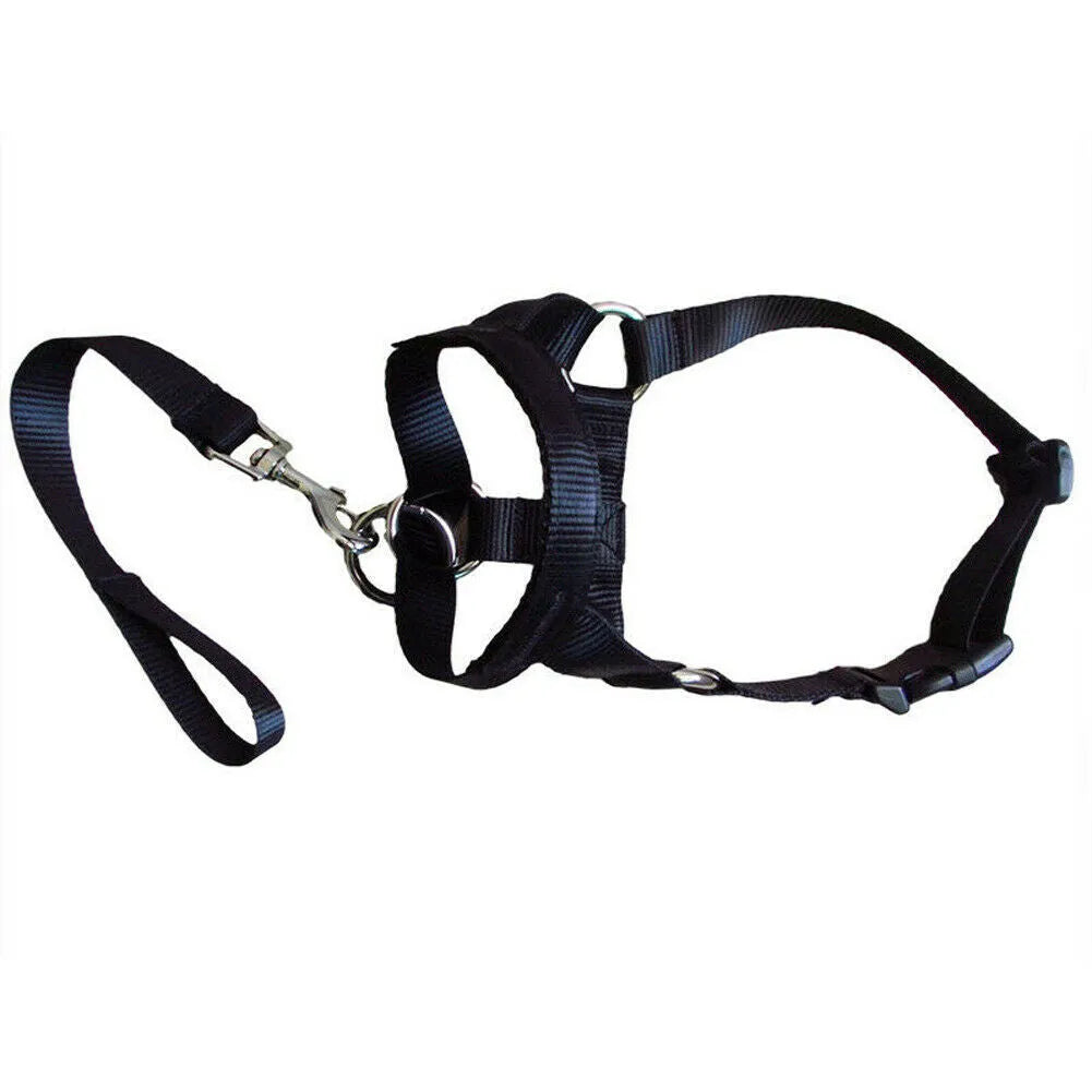 Adjustable nylon dog muzzle cover in black with cloth body and strap