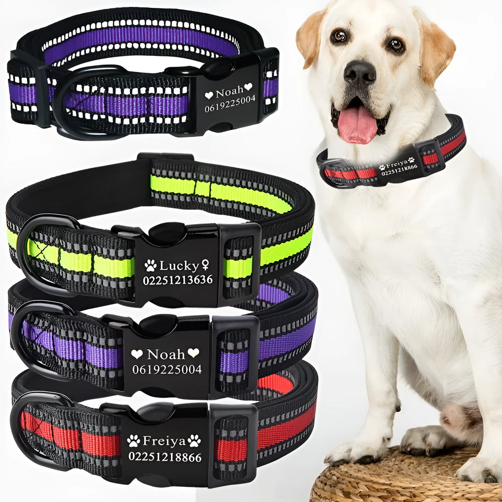 Custom dog collar with personalised lettering in black, available in three adjustable sizes for small to large dogs