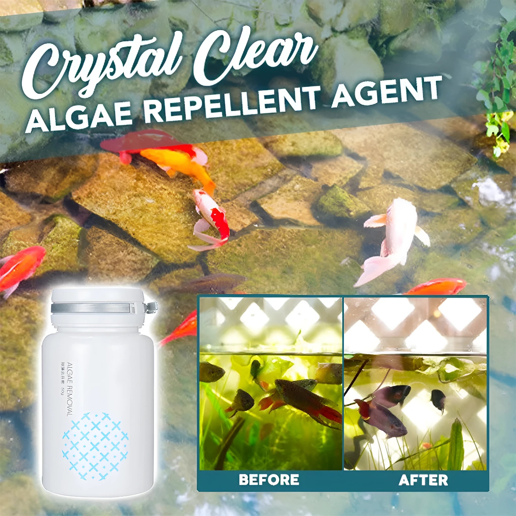 50g swimming pool algaecide bottle for algae and moss removal treatment