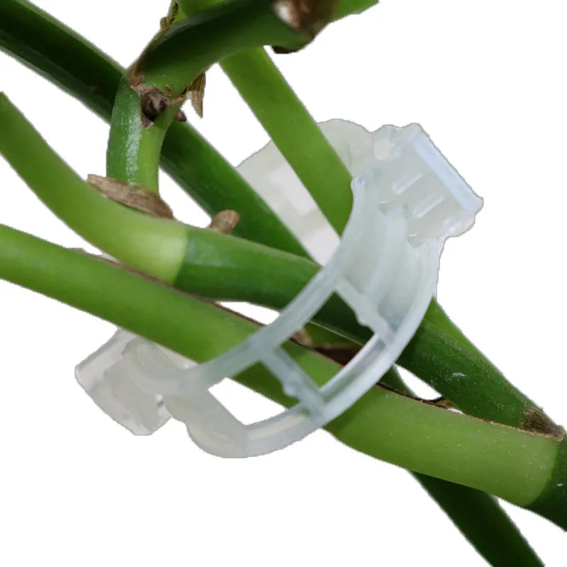 Plastic plant grafting clips pack of 50 pieces for tomato and garden plant support
