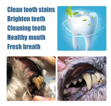 Yegbong pet teeth whitening pen with dental brush applicator for dogs and cats.