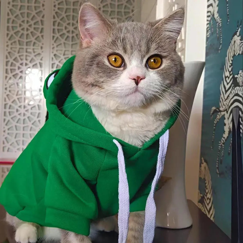 Green frog pattern hoodie for a small dog, showing hood with pointed ears and front pocket.