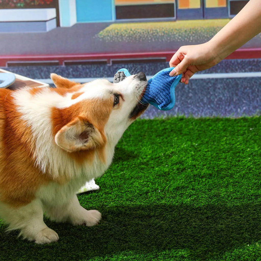 Blue teddy dog toy with squeaker bone, showing soft corn fleece lining and bite-resistant construction