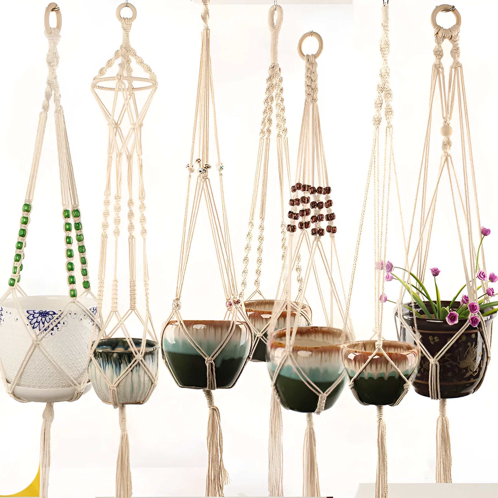 Natural cotton rope woven wire plant basket in a rustic style, shown holding a small potted plant.