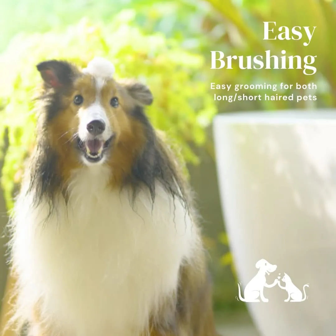 Blue grey pink self-cleaning pet grooming brush with stainless steel tips and rubber handle for dogs cats