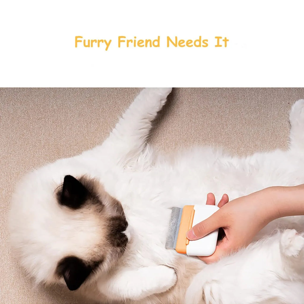 Blue double-sided pet deshedding brush with stainless steel teeth on a wooden table.