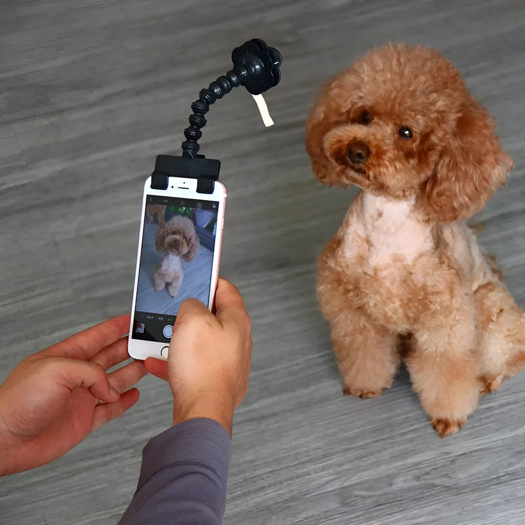 Black pet selfie stick with square and flower clips for camera mounting on pets