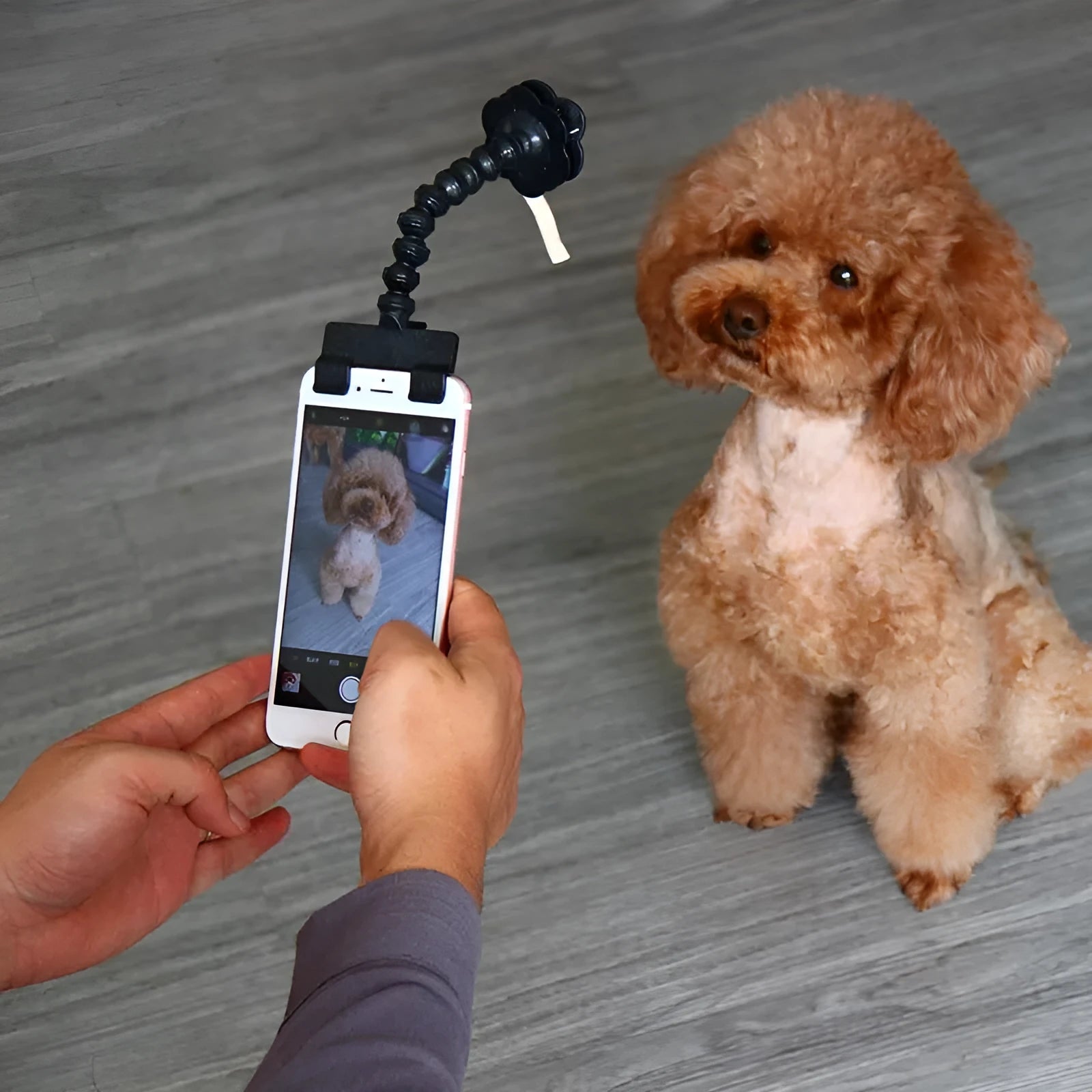 Black pet selfie stick with square and flower clips for camera mounting on pets
