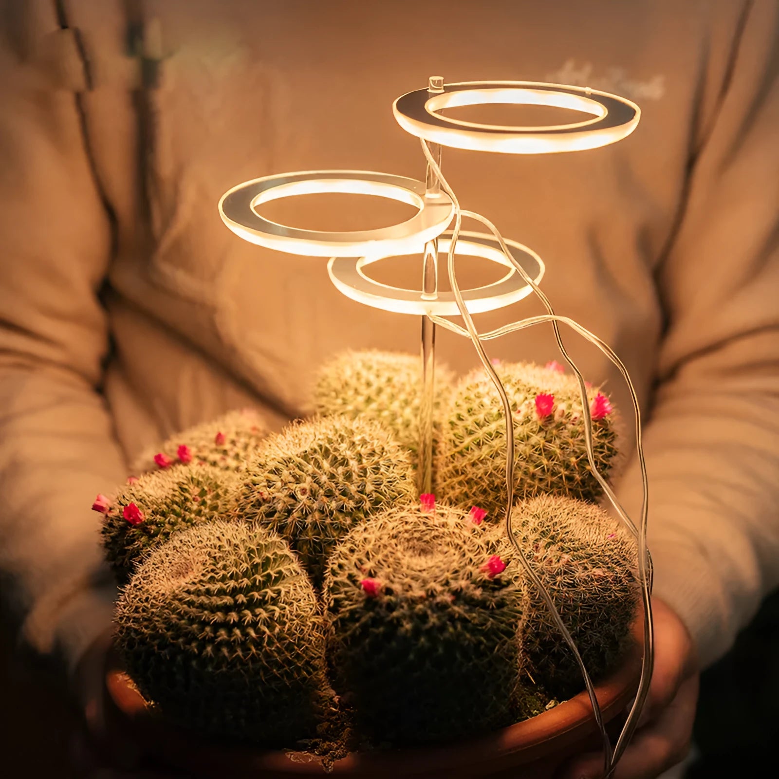 USB LED plant grow light with transparent PC and aluminium housing on a 25cm acrylic stick.