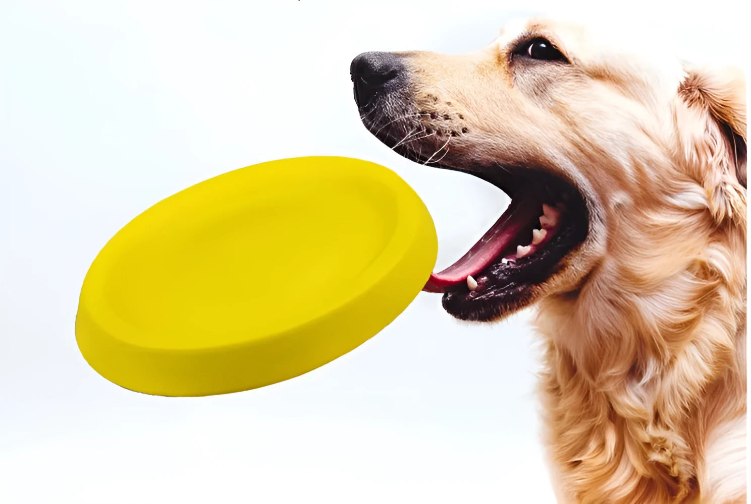 Bright yellow EVA dog throwing toy for training and play on grass