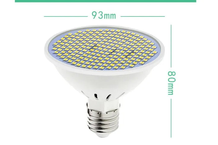 E27 LED lamp cup bulb for household lighting with warm white and cool white options