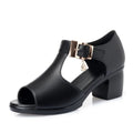 Women's thick heel buckle sandals in Black, artificial PU upper, rubber sole, fish mouth toe, sizes 35-41