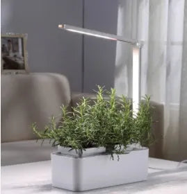 White hydroponic self-absorbent herb vegetable planting box with LED grow lights and water alarm on a desktop